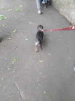 20180501_103136-min.jpg